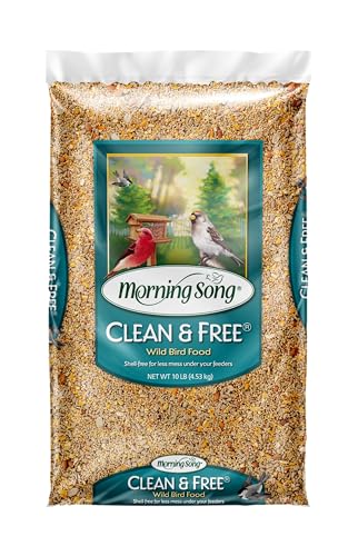 Best Bird Feed for Backyard Birds