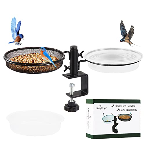 Best Bird Feeder for Apartment Balcony