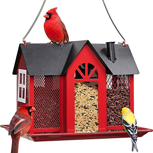 Best Bird Feeder for Cardinals