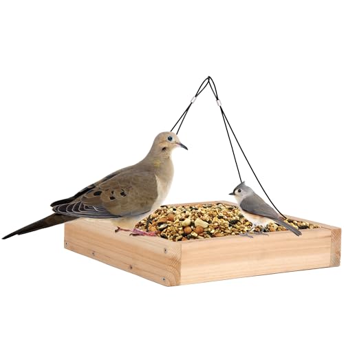 Best Bird Feeder for Doves