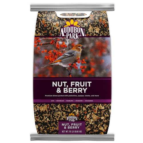 Best Bird Feeder for Fruit And Nut Mix