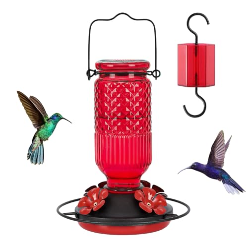Best Bird Feeder for Hummingbirds