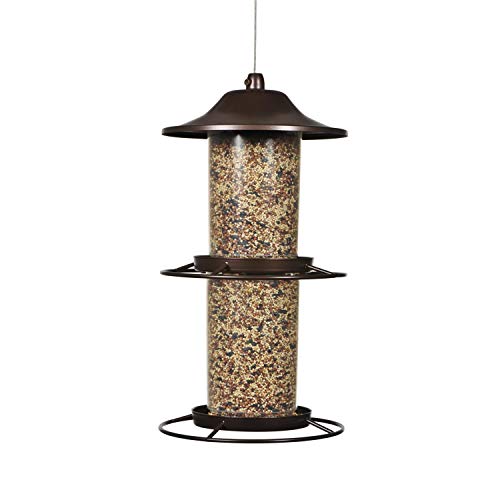 Best Bird Feeder for Large Birds