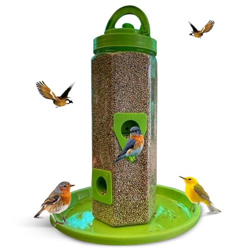 Best Bird Feeder for Orioles