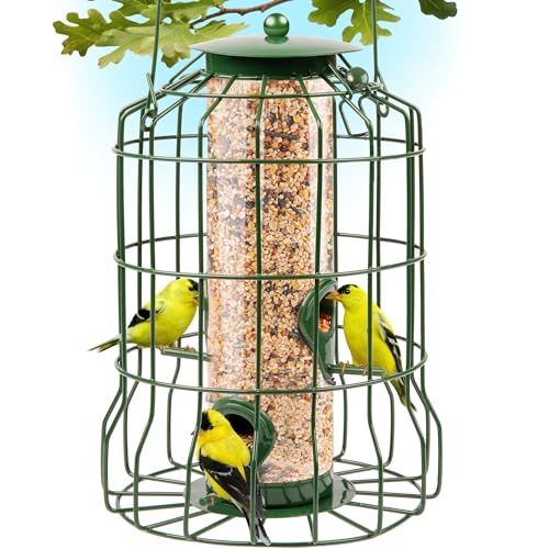 Best Bird Feeder for Painted Bunting