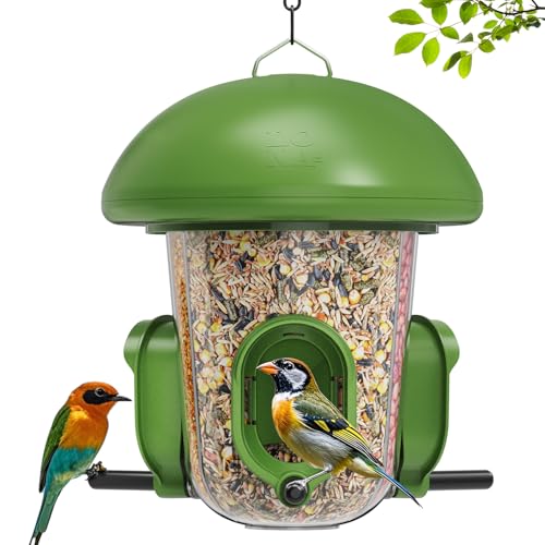 Best Bird Feeder for Rainy Weather