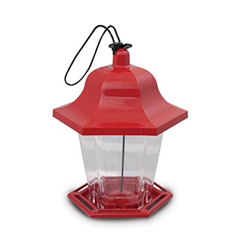 Best Bird Feeder for Small Birds Only