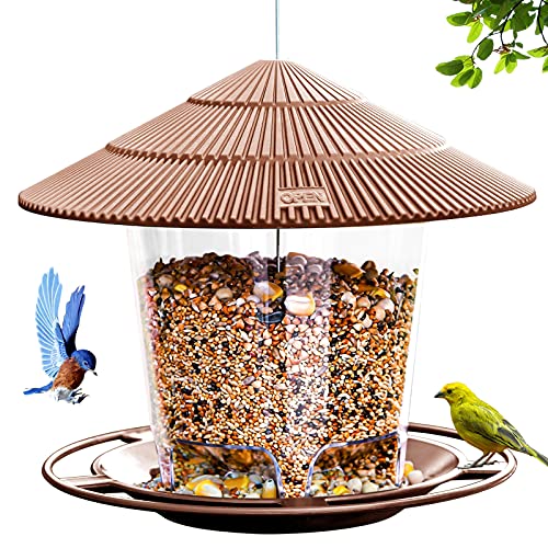 Best Bird Feeder for Small Birds