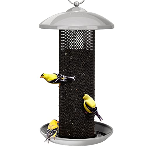 Best Bird Feeder for Thistle Seed