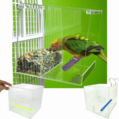 Best Bird Feeder for Wild Parrots