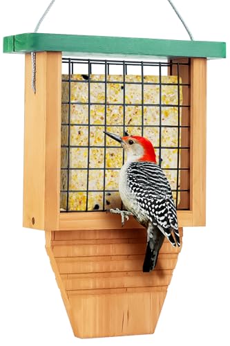 Best Bird Feeder for Woodpeckers