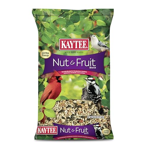 Best Bird Seed for Outdoor Feeder