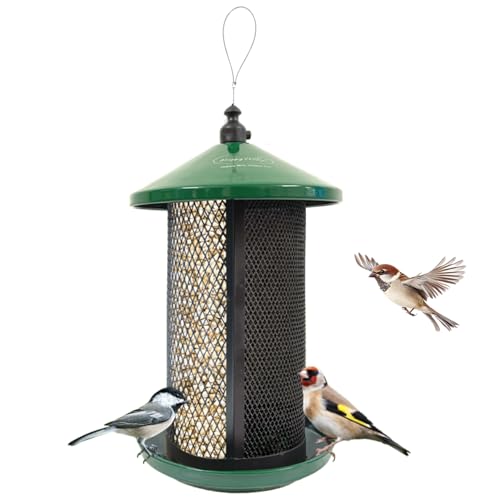 Best Bird Seed for Window Feeder