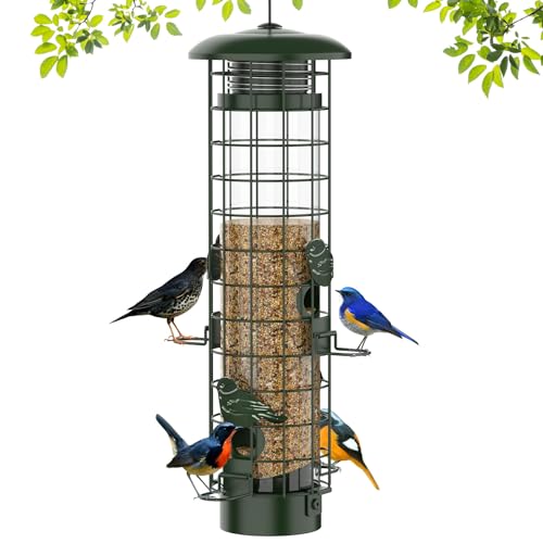 Best Squirrel Proof Bird Feeder for Cardinals