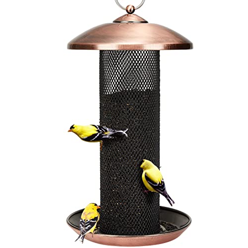 Best Type of Bird Feeder for Finches