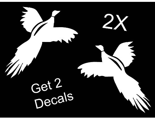 Best Beginner Shotgun for Bird Hunting