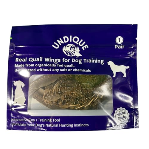 Best Bird Dogs for Hunting