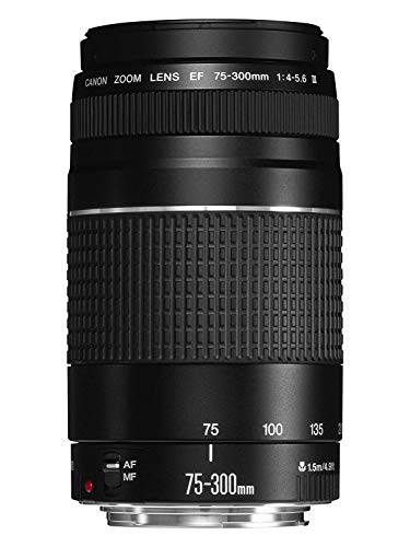 Best Budget Lens for Bird Photography Canon