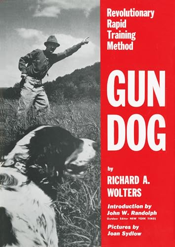 Best Gun for Bird Hunting