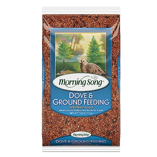 Best Bird Seed for House Sparrows