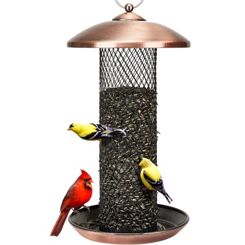 Best Bird Feeder for Sunflower Seeds