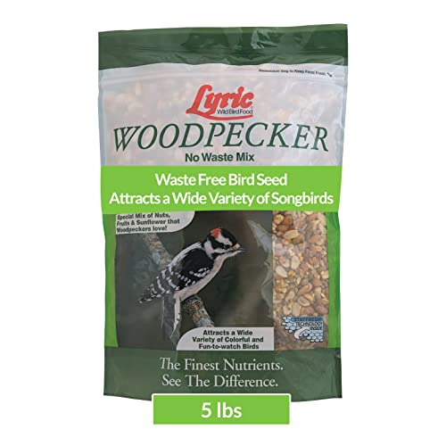 Best Bird Seed for Woodpeckers