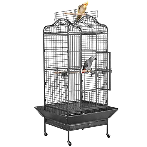 Best Bird Cage for African Grey