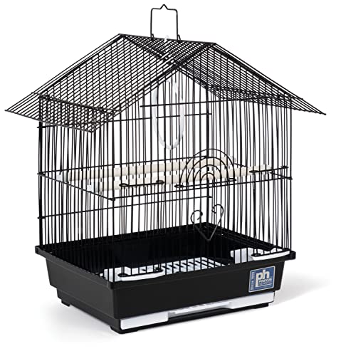 Best Bird Cage for Finches