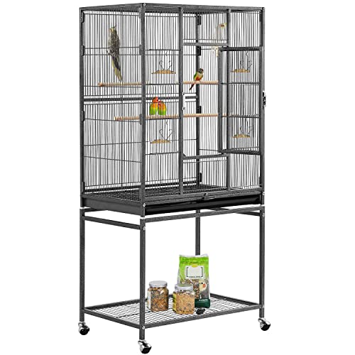 Best Bird Cages for Budgies