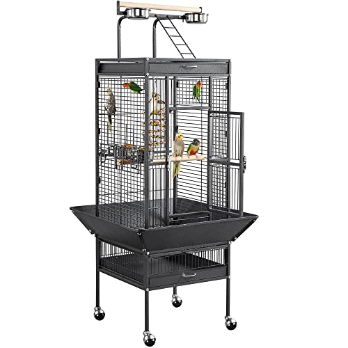 Best Bird Cages for Parrots